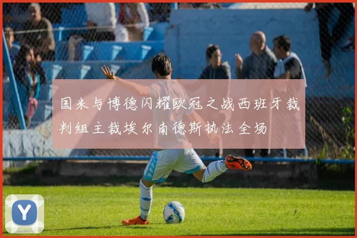 国米与博德闪耀欧冠之战西班牙裁判组主裁埃尔南德斯执法全场