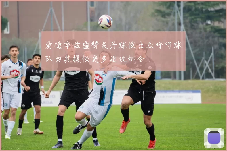 爱德华兹盛赞麦丹球技出众呼吁球队为其提供更多进攻机会